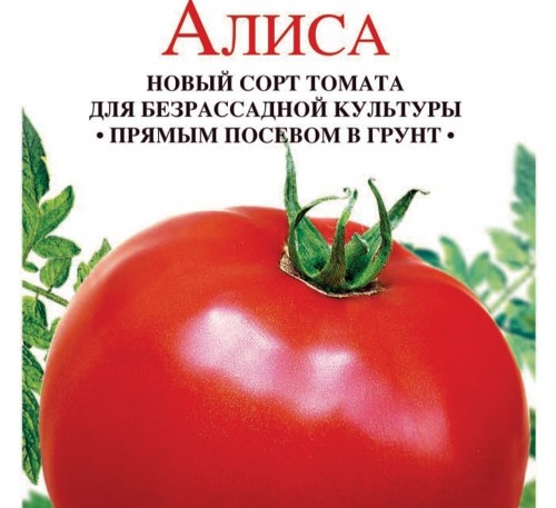 Tomato Alice seeds