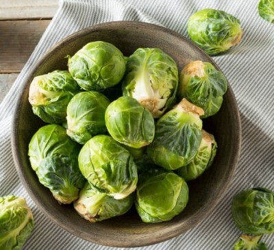 Brussel Sprout  Darkmar 21
