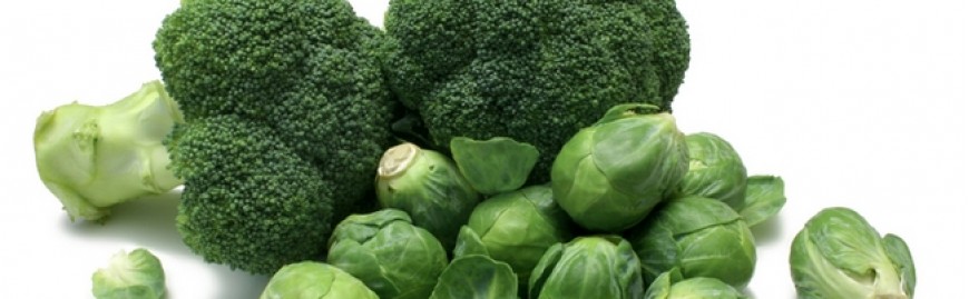 Broccoli - Brussel Sprout