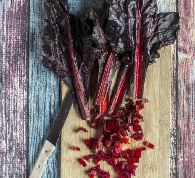 Chard Mangold Scarlet