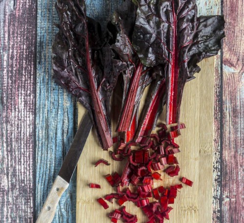 Chard Mangold Scarlet
