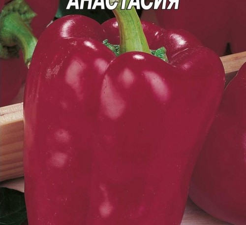 Bell Pepper Anastasiya 