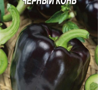 Bell Pepper Chornyy Kon