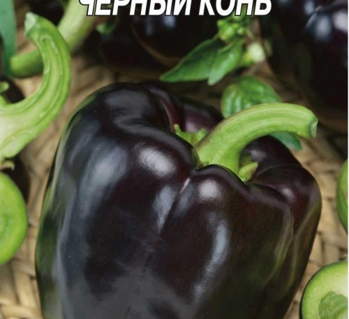 Bell Pepper Chornyy Kon